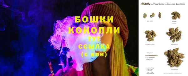 шишки Алзамай