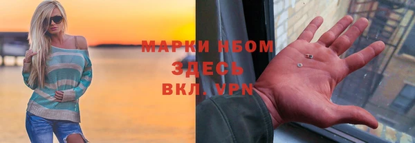 шишки Алзамай