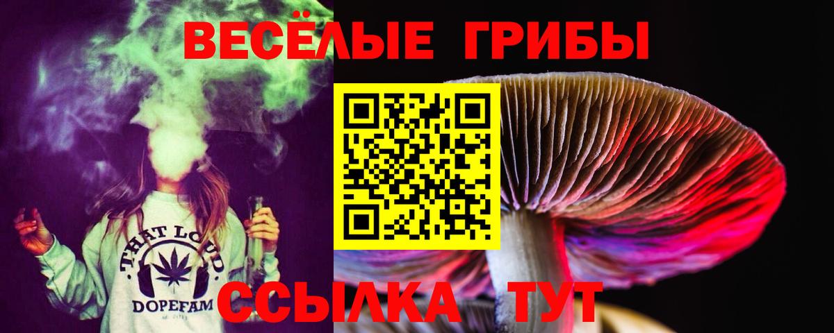 Усть-Лабинск  цены   Галлюциногенные грибы ЛСД  Вход с VPN  Псилоцибиновые грибы прущие грибы 